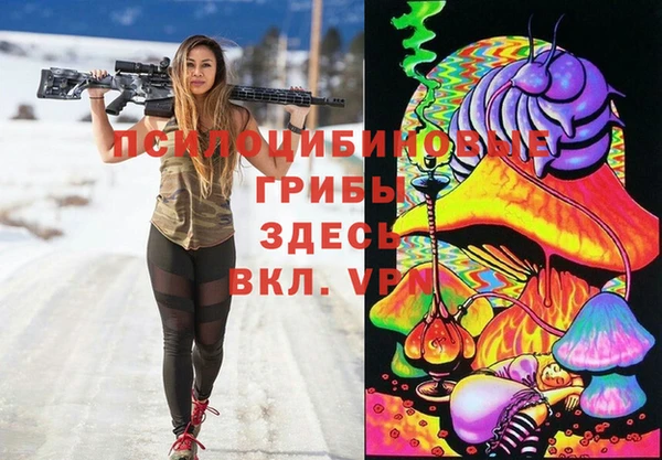 бошки Арсеньев