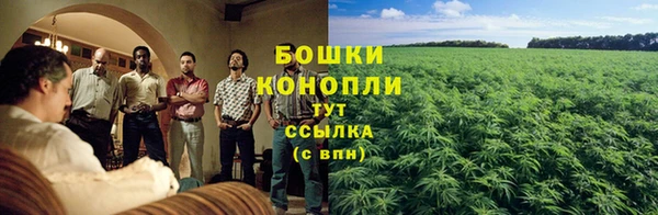 бошки Арсеньев