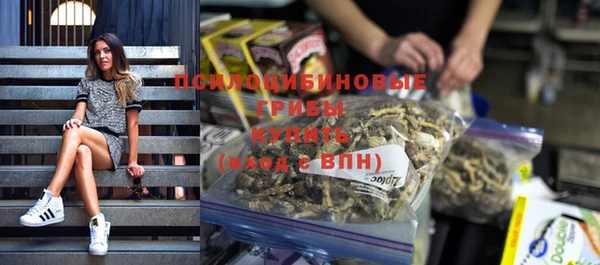 бошки Арсеньев