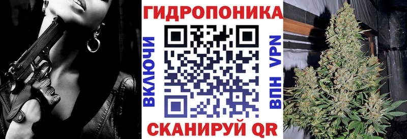 Бошки марихуана индика продажа наркотиков Каменногорск